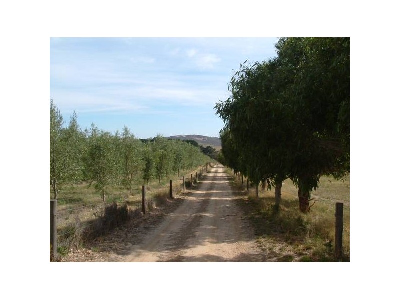 4 Goolwa Road, Mount Compass SA 5210