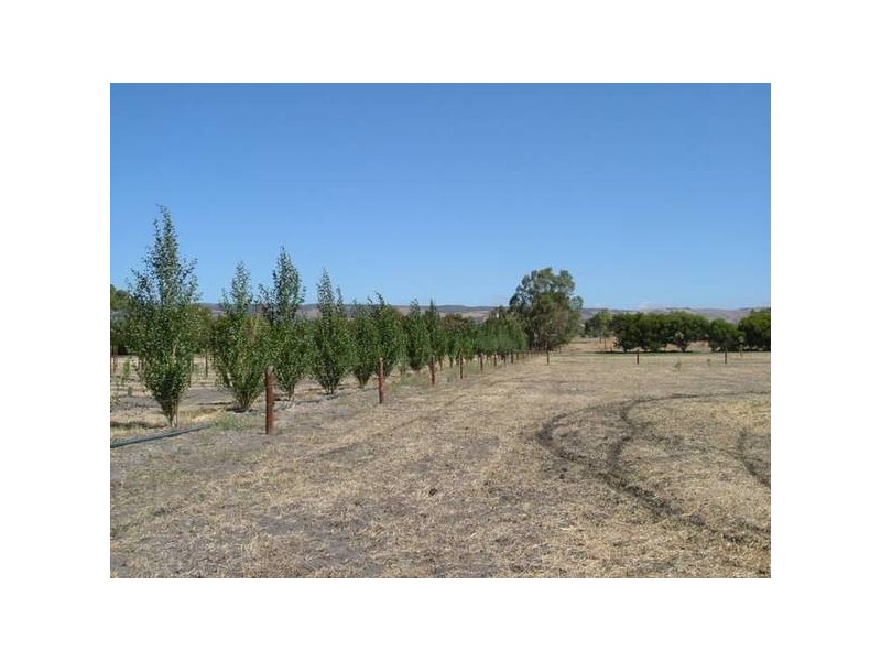 Mclaren Vale SA 5171