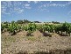 1 Old Bull Creek Road, Meadows SA 5201