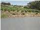 1 Old Bull Creek Road, Meadows SA 5201