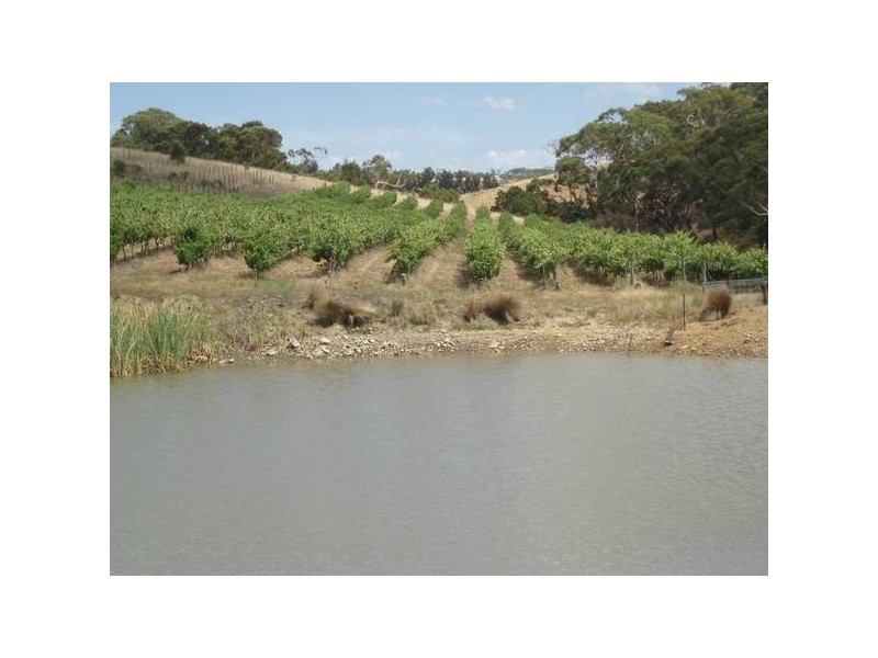 1 Old Bull Creek Road, Meadows SA 5201
