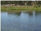 1 Old Bull Creek Road, Meadows SA 5201