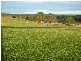 Sec 164 Glen Ford Gully Road, Middleton SA 5213