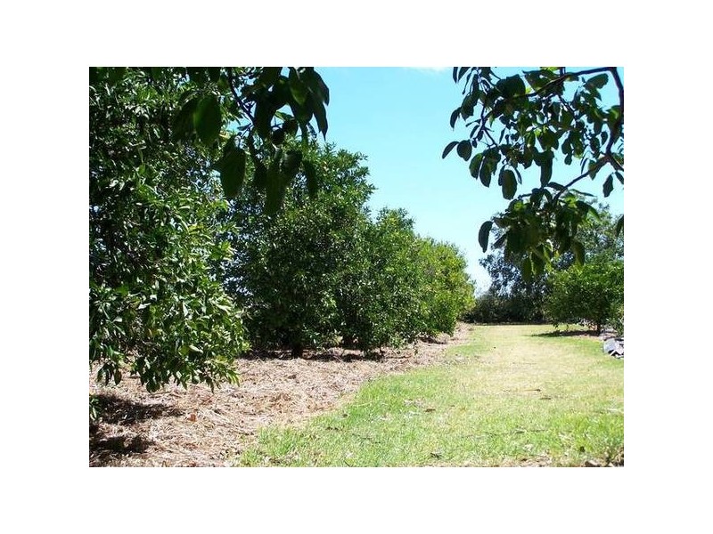 10 Main Road, Willunga SA 5172
