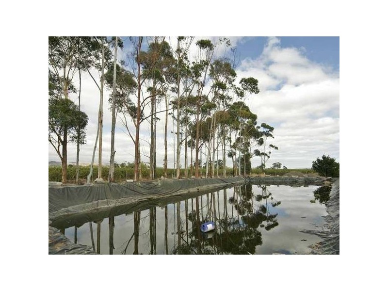 10 Main Road, Mclaren Vale SA 5171