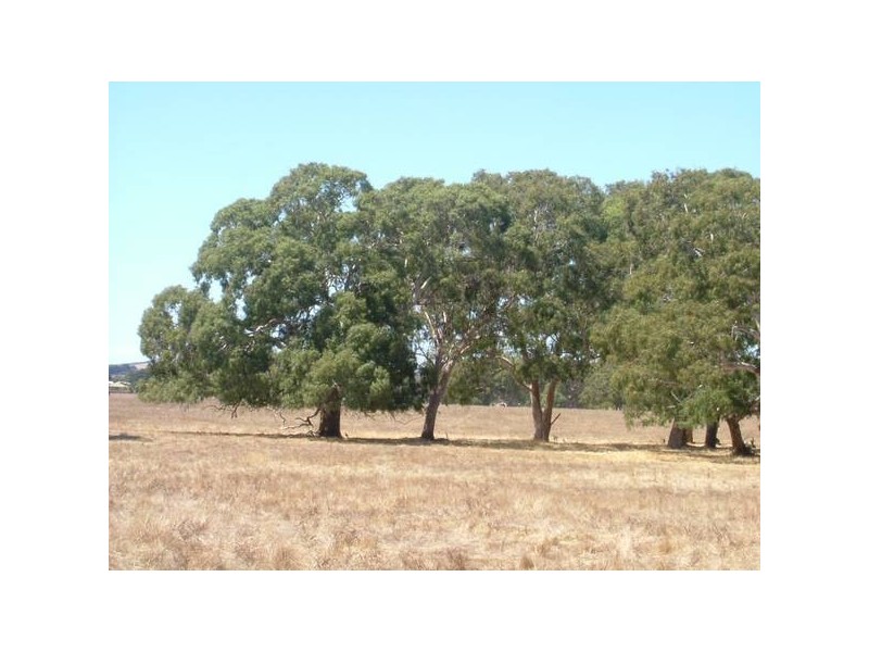 33 Hindmarsh Valley
Road, Myponga SA 5202