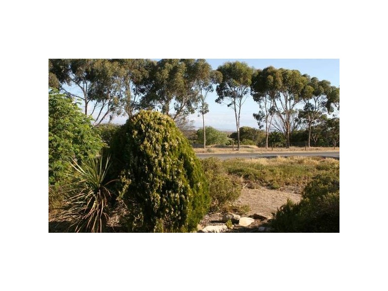 59 Oleander Road, Maslin Beach SA 5170