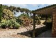 59 Oleander Road, Maslin Beach SA 5170