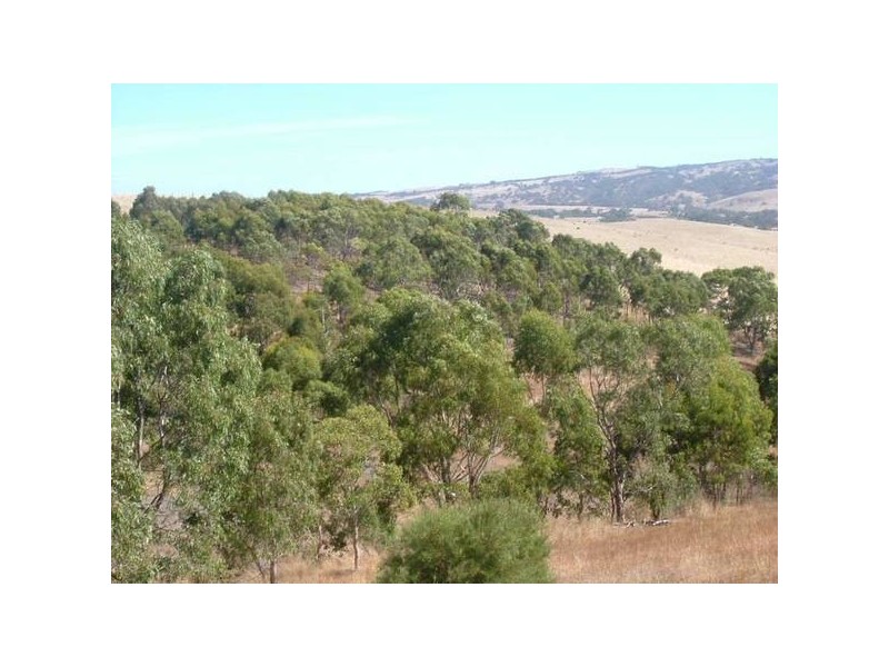 257 Hancock Road, Inman Valley SA 5211