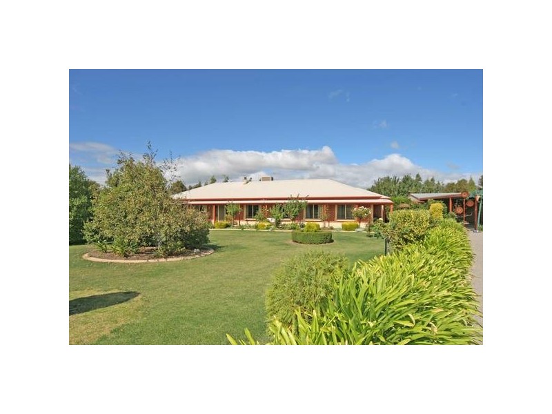 8 Cox Road, Aldinga Beach SA 5173