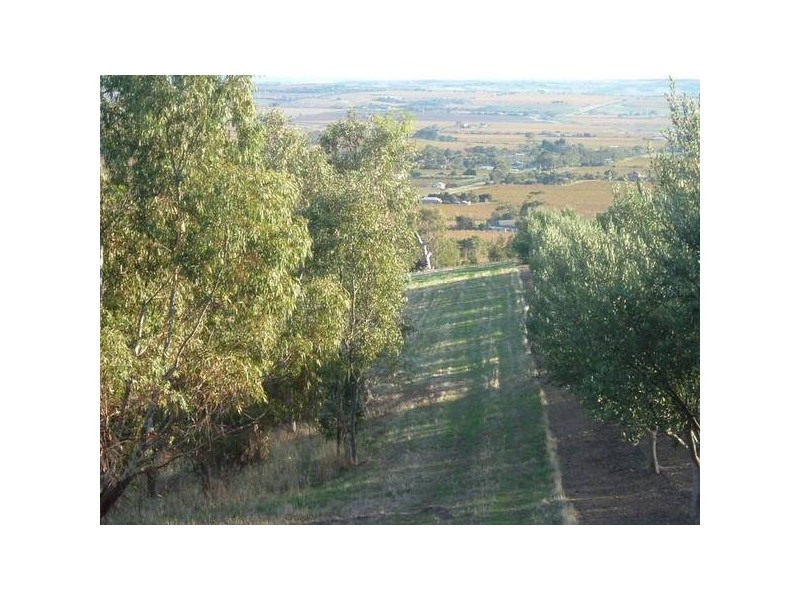 Lot 51 Delabole Road, Willunga SA 5172