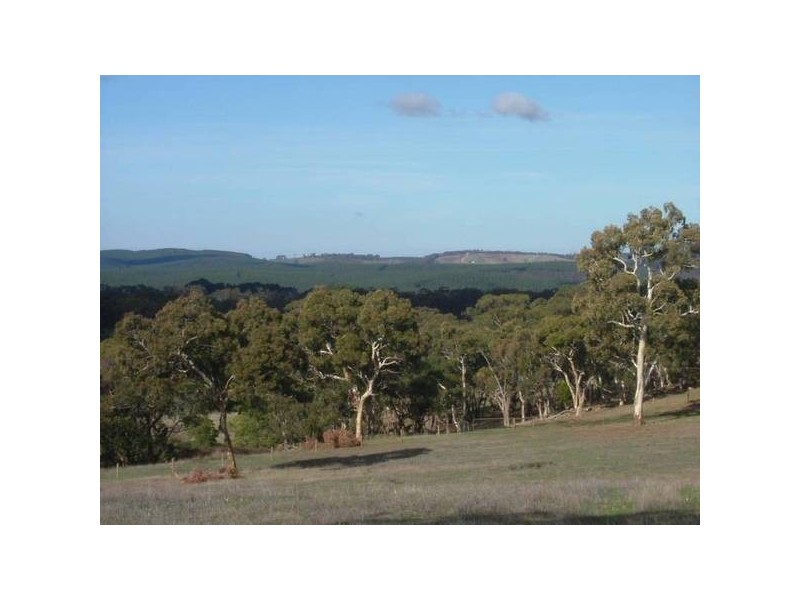 156 Range Road, Mclaren Vale SA 5171