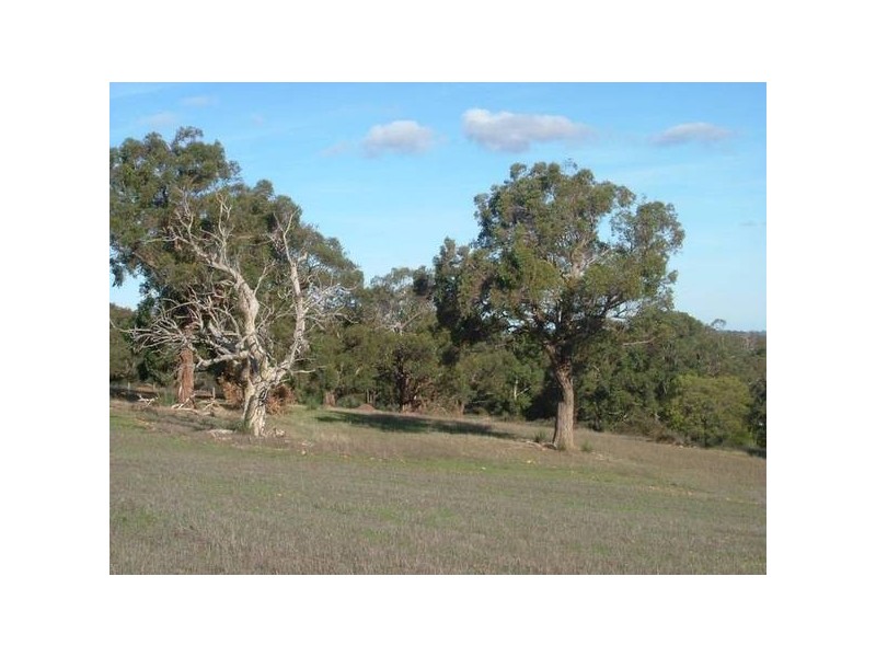 156 Range Road, Mclaren Vale SA 5171