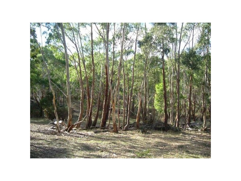 156 Range Road, Mclaren Vale SA 5171