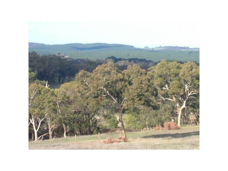 156 Range Road, Mclaren Vale SA 5171