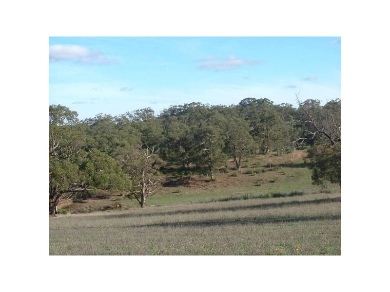 156 Range Road, Mclaren Vale SA 5171