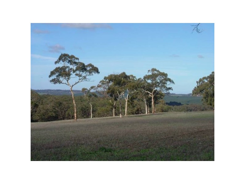 156 Range Road, Mclaren Vale SA 5171