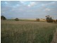 Lot 3,  Goolwa Road, Tooperang SA 5255