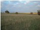 Lot 3,  Goolwa Road, Tooperang SA 5255