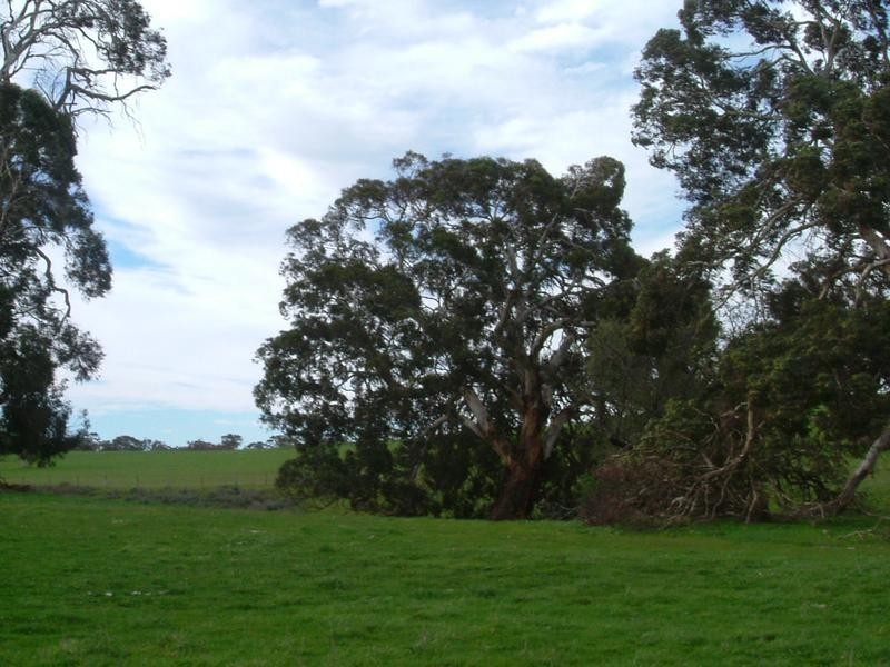 Lot 3,  Goolwa Road, Tooperang SA 5255
