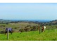 541 COOMOOLOO ROAD, Inman Valley SA 5211
