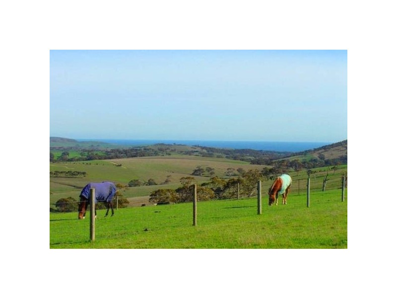541 COOMOOLOO ROAD, Inman Valley SA 5211