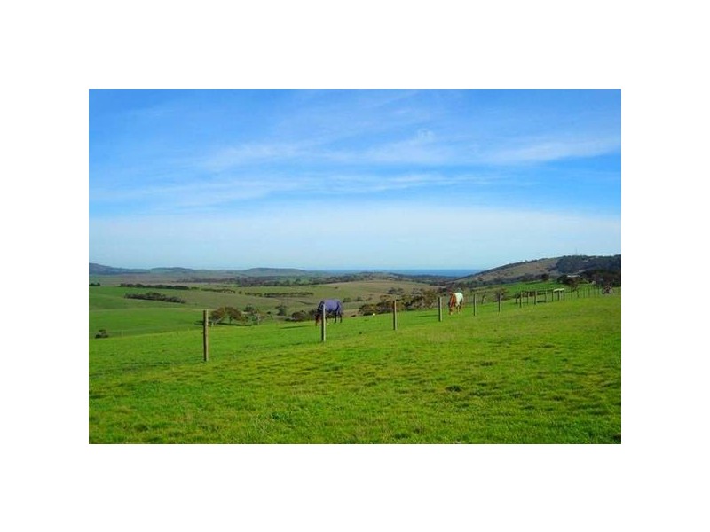 541 COOMOOLOO ROAD, Inman Valley SA 5211