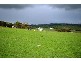 541 COOMOOLOO ROAD, Inman Valley SA 5211