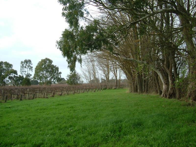 Lot 101,  Eljay Drive, Myponga SA 5202