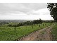 8 Taylors Hill Road, Willunga SA 5172