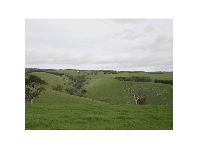 8 Taylors Hill Road, Willunga SA 5172
