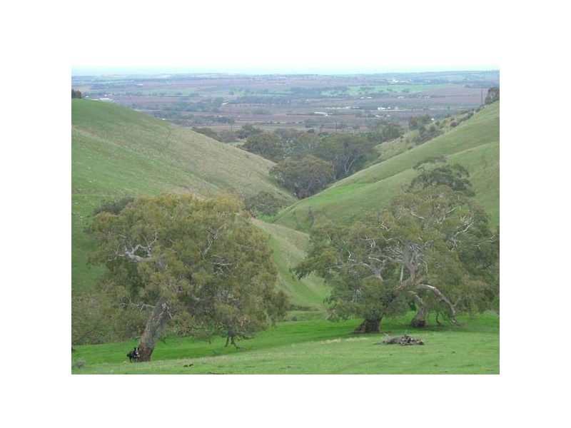 8 Taylors Hill Road, Willunga SA 5172