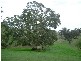 8 Taylors Hill Road, Willunga SA 5172