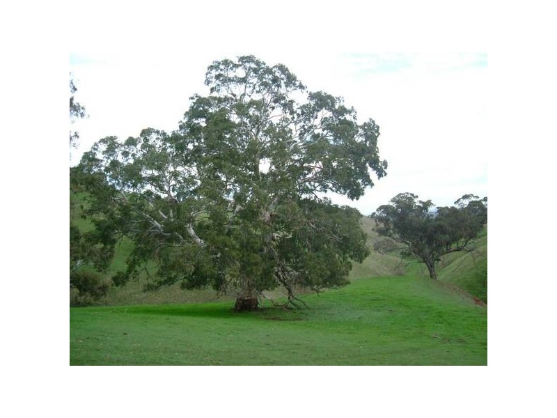 8 Taylors Hill Road, Willunga SA 5172
