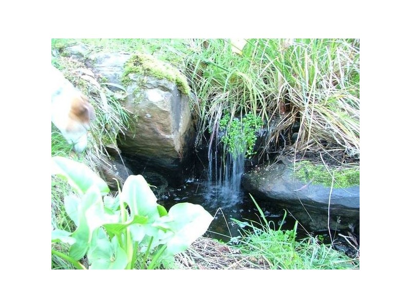 1 Old Coach Road, Mount Compass SA 5210