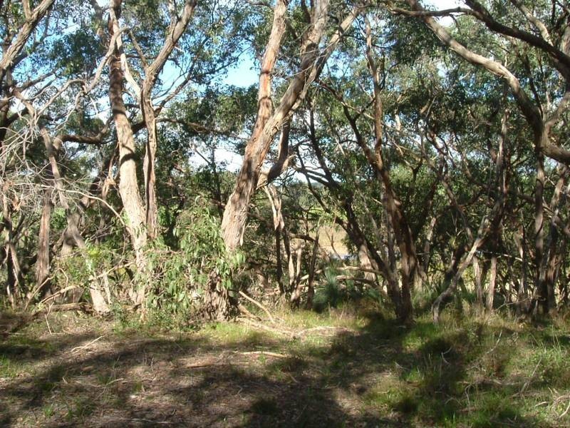 3 Yundi Road, Mount Compass SA 5210