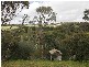 41 St Johns Terrace, Willunga SA 5172