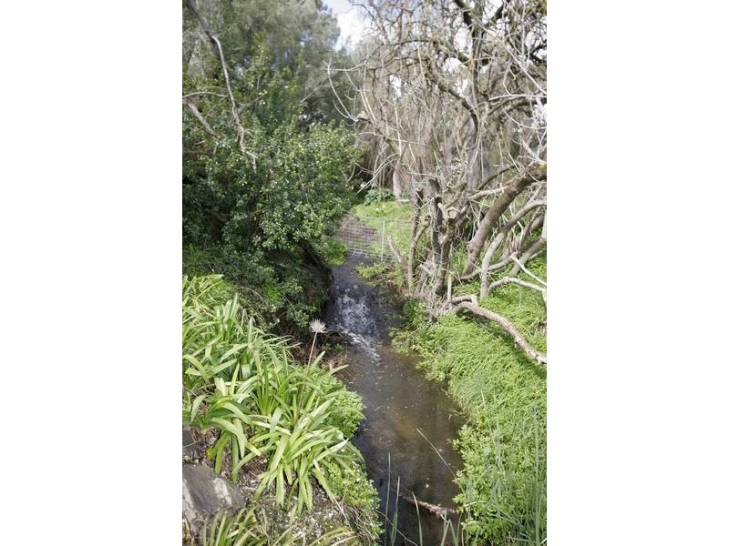 24 Main Road, Willunga SA 5172