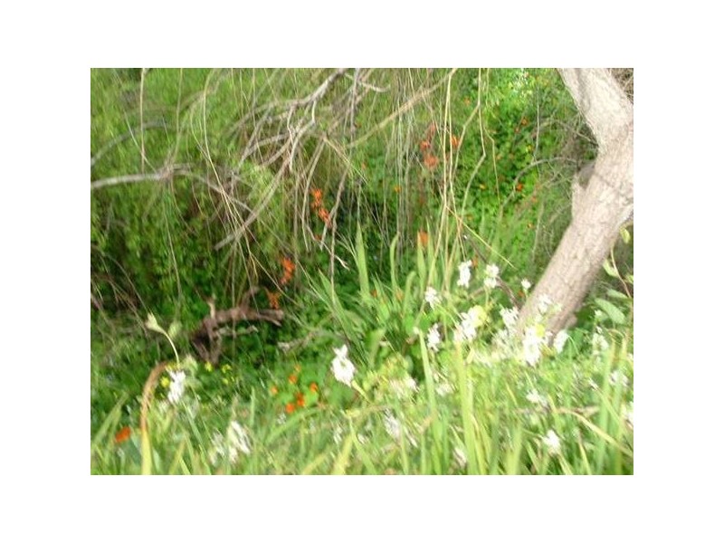 Lot 3 ALDINGA ROAD, Willunga SA 5172