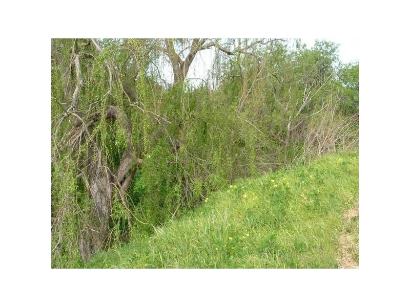 3 Aldinga Road, Willunga SA 5172