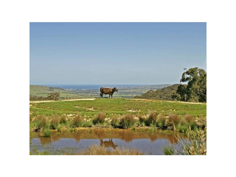 Lot100 Pambula Road, Hindmarsh Valley SA 5211