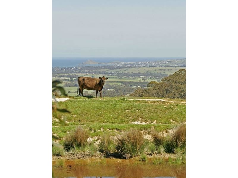 Lot100 Pambula Road, Hindmarsh Valley SA 5211