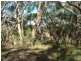 Lot 3 Yundi Road, Willunga SA 5172
