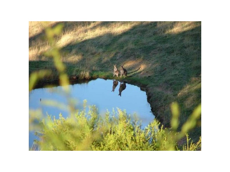 Lot1 Old Coach Road, Victor Harbor SA 5211