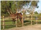 Lot 10 School Road, Willunga SA 5172