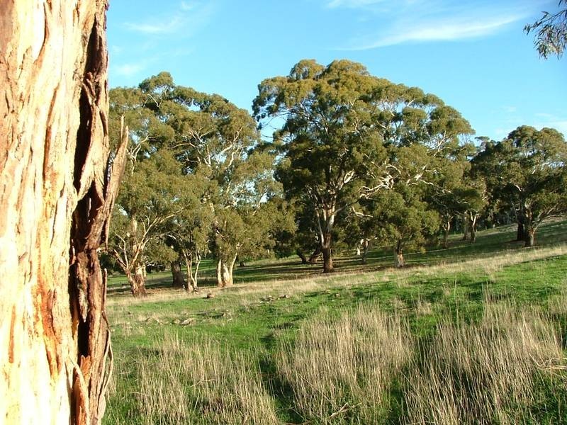 Lot 1,  Old Coach Road, Victor Harbor SA 5211