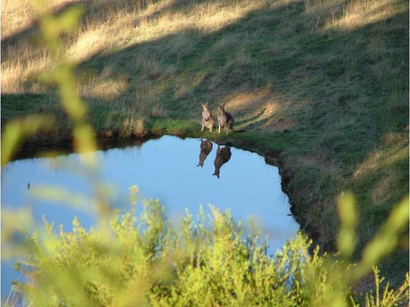 Lot 1,  Old Coach Road, Victor Harbor SA 5211
