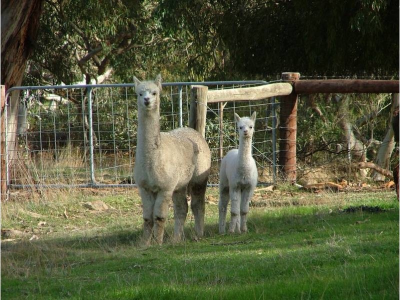 Lot 1, Old Coach Road, Mount Compass SA 5210