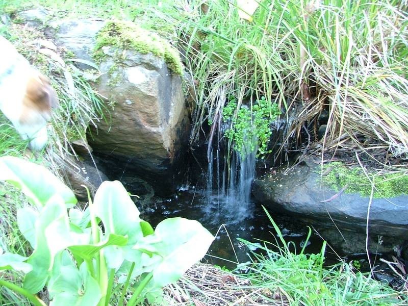 Lot 1, Old Coach Road, Mount Compass SA 5210