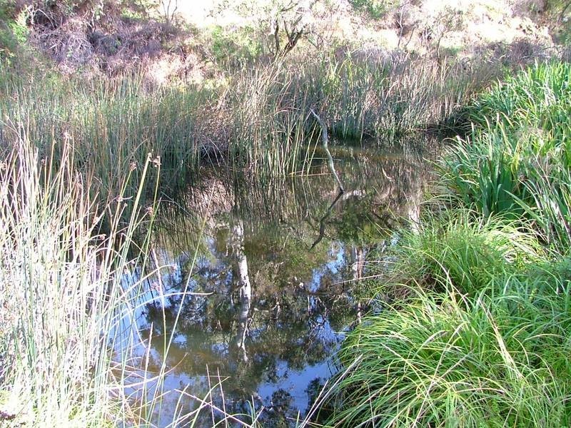 Lot 1, Old Coach Road, Mount Compass SA 5210